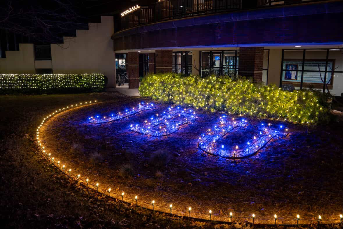 Commercial landscaping decorated with blue and warm white lights